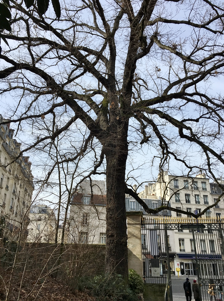Paris3