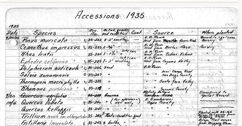 Fig. 1 – A scan of our accession records, showing the wild source for two species of Quercus acquired in October 1935