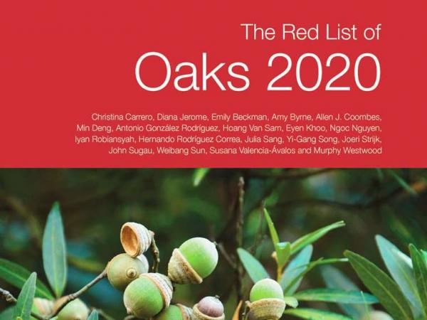 Red List of Oaks 2020