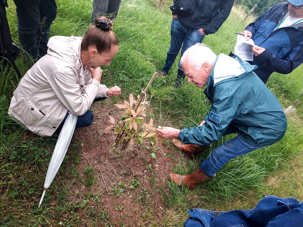Beatrice and Jean-Louis debate the ID of an oak