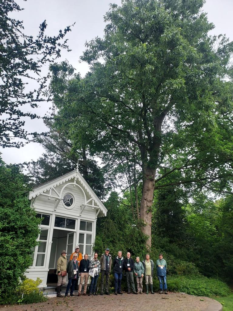 Group photo by Quercus xleana at Kalmthout