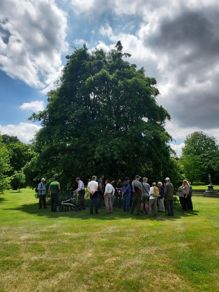 Participants gather in the shade of an oak at Arboretum Wespelaar