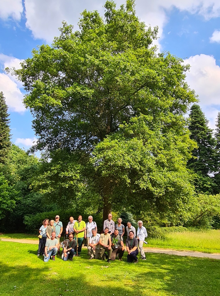 Group photo next to what might be the champion Quercus arkansana in cultivation