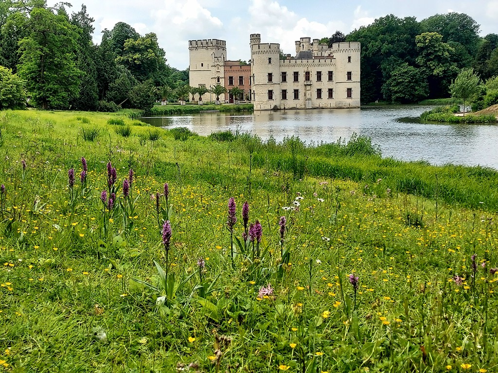 A view of Plantetuin Meise