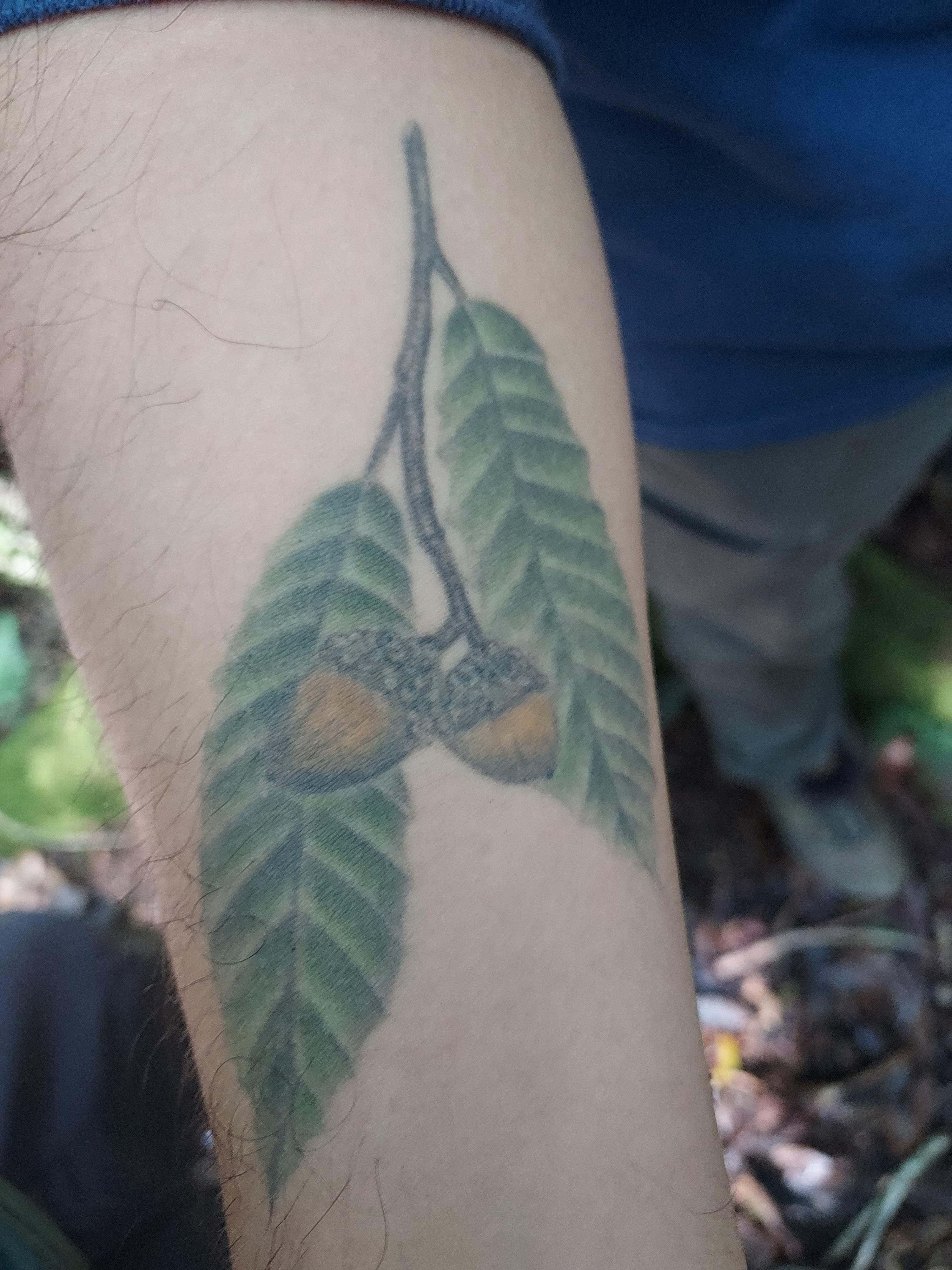 Tattoo on arm of Uriel Rodriguez our guide at Jardín Botánico Clavijero