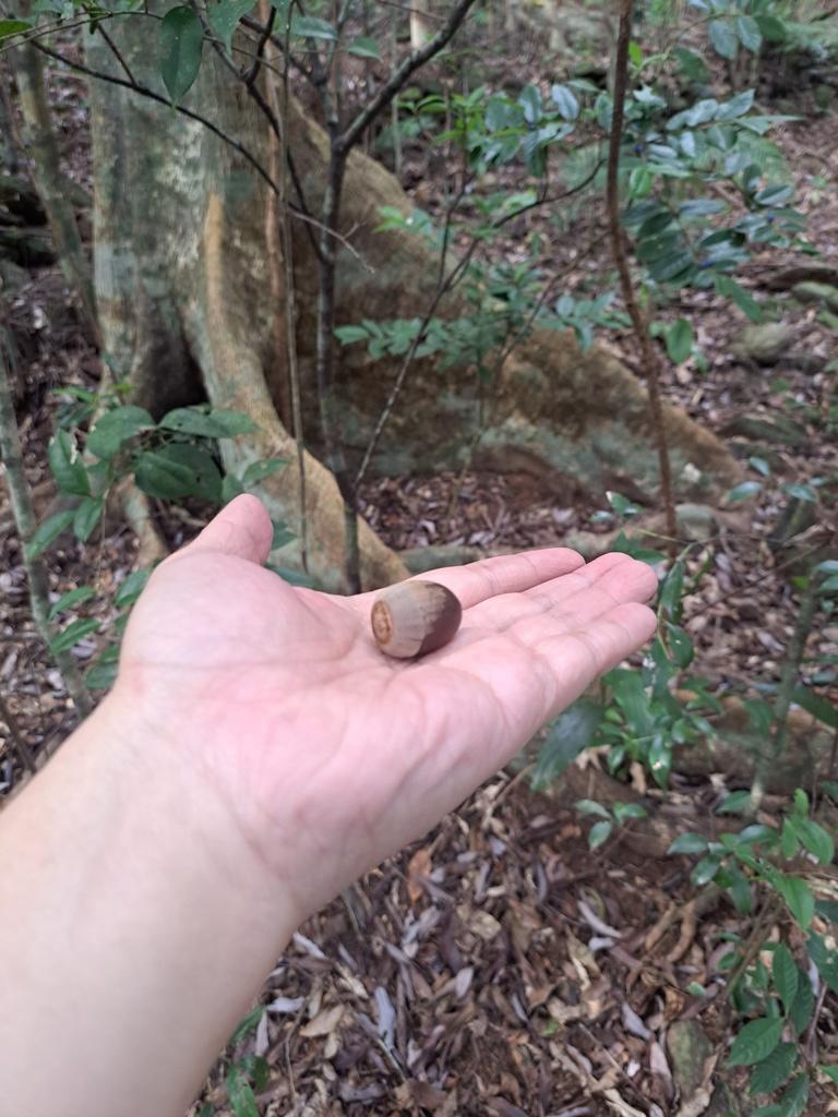 nut on hand