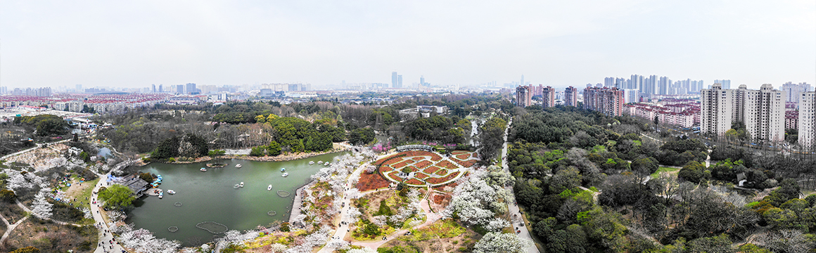Shanghai Botanical Garden