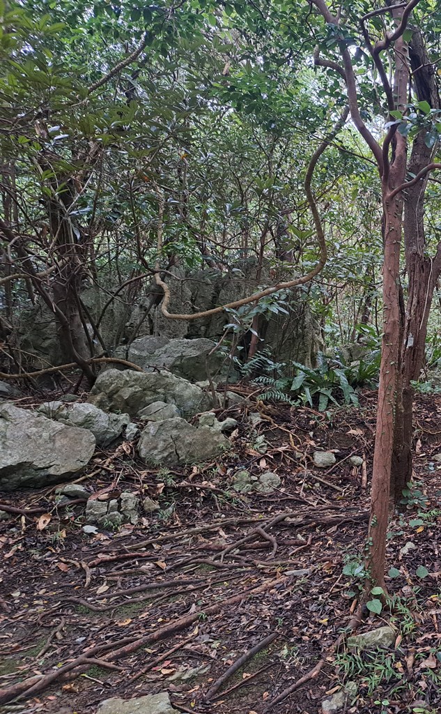 Rocks by path