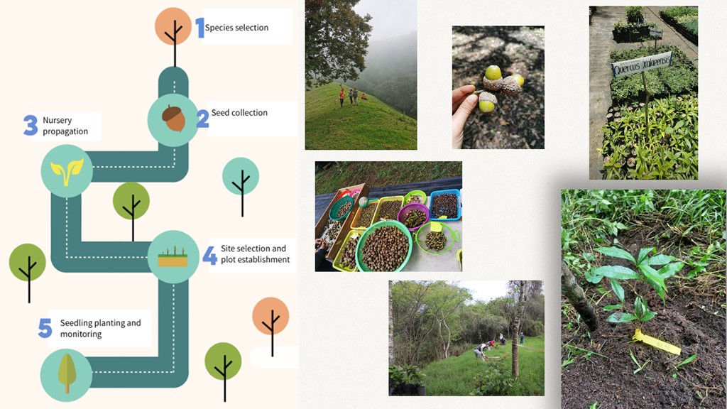 Slide from the presentation assisted migration in urban cloud forests