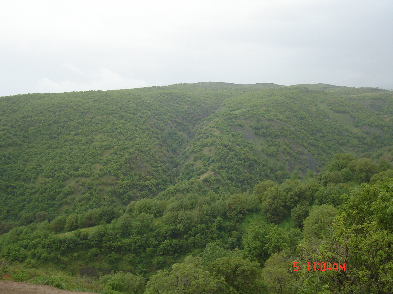 Figure 1. Northern Zagros Forests, West Azerbaijan Province (Photo by Mehdi Pourhashemi)