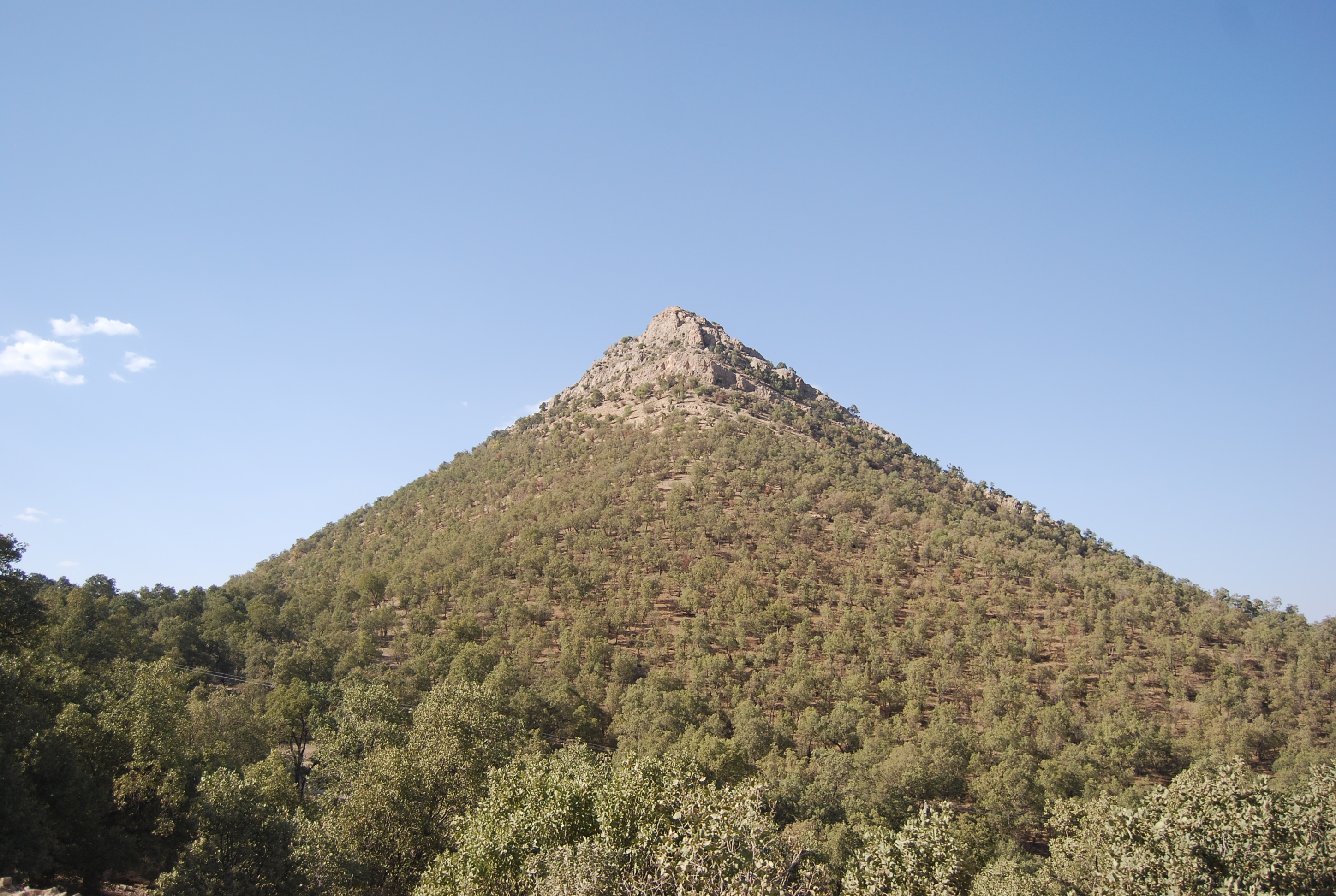 Figure 2. Southern Zagros Forests, Fars Province (Photo by Mehdi Pourhashemi)