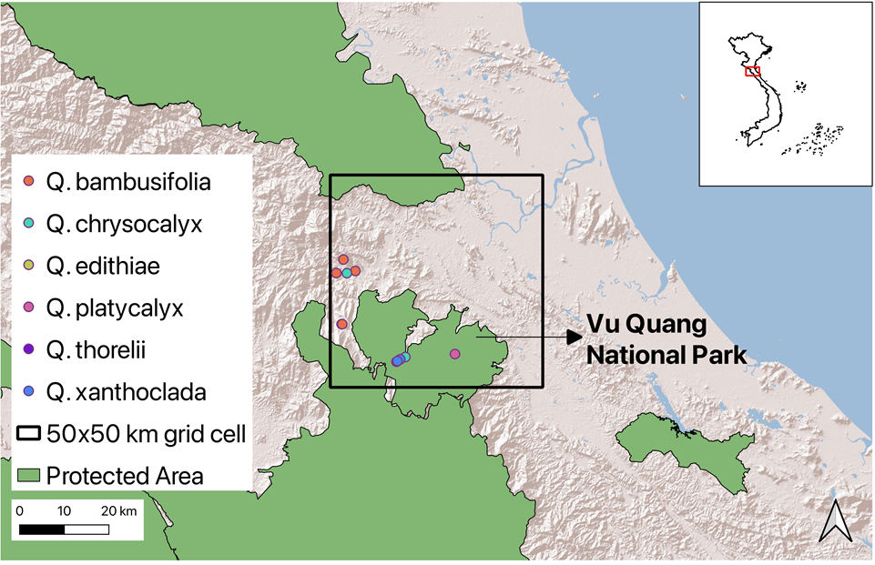 Figure 3B.png: Wild occurrence points of target oaks species in Vu Quang National park and surrounding areas.