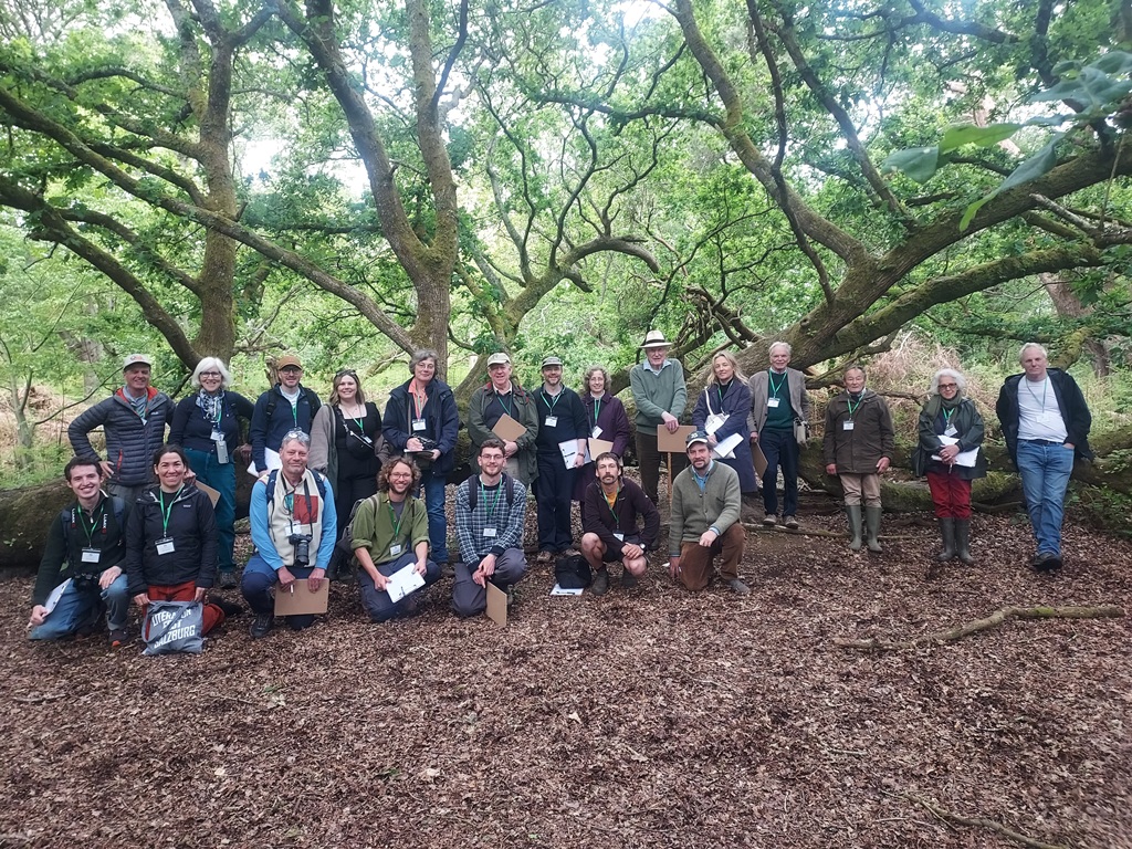 Group photo by fallen oak