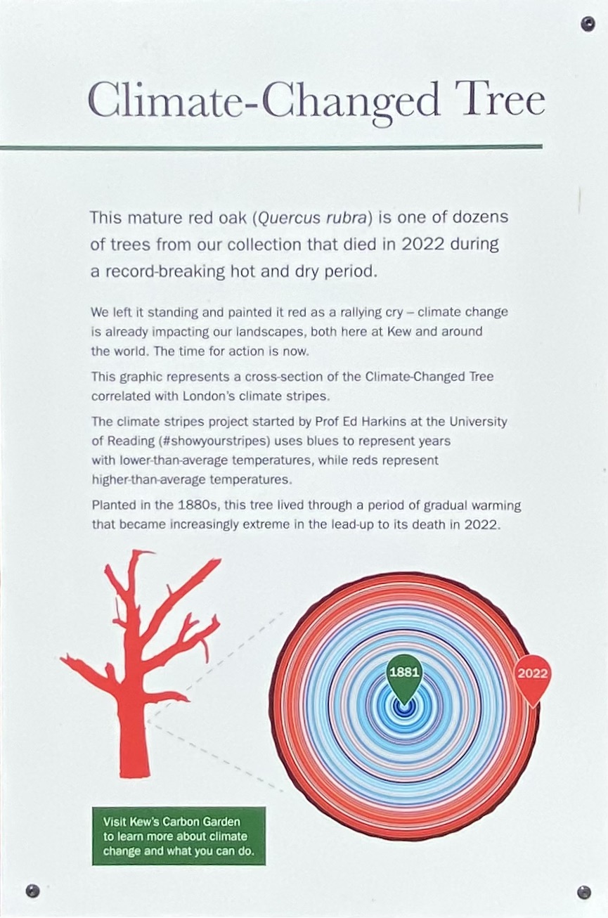 signage at Kew's Climate Changed Tree