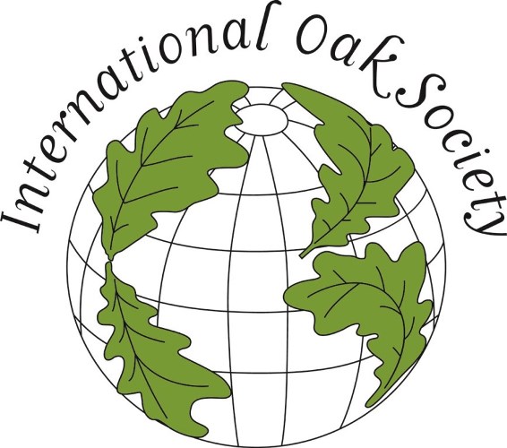 IOS logo