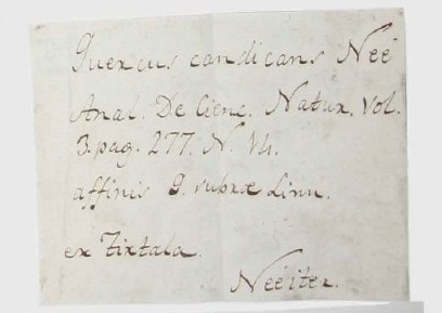 Née's name on specimen label