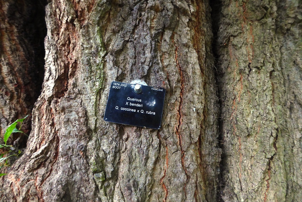 The label Marie missed...