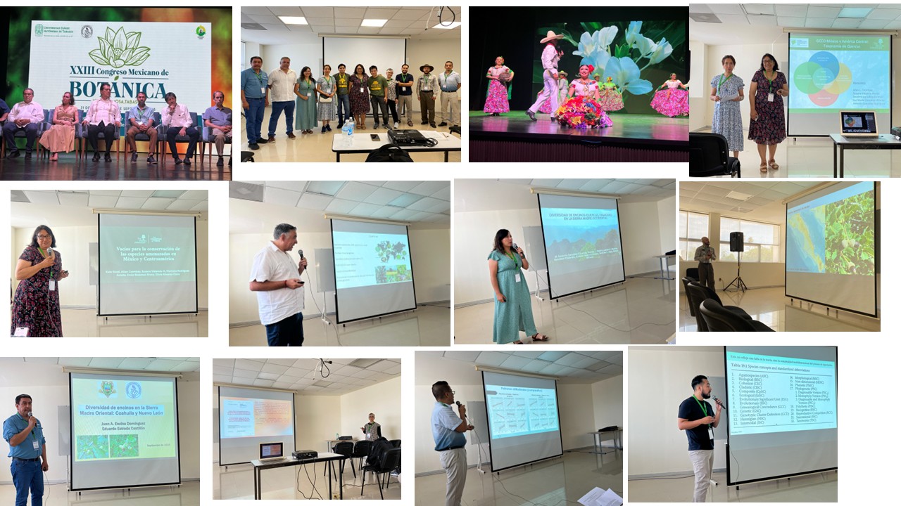 Snapshots from the Congress and the Symposium