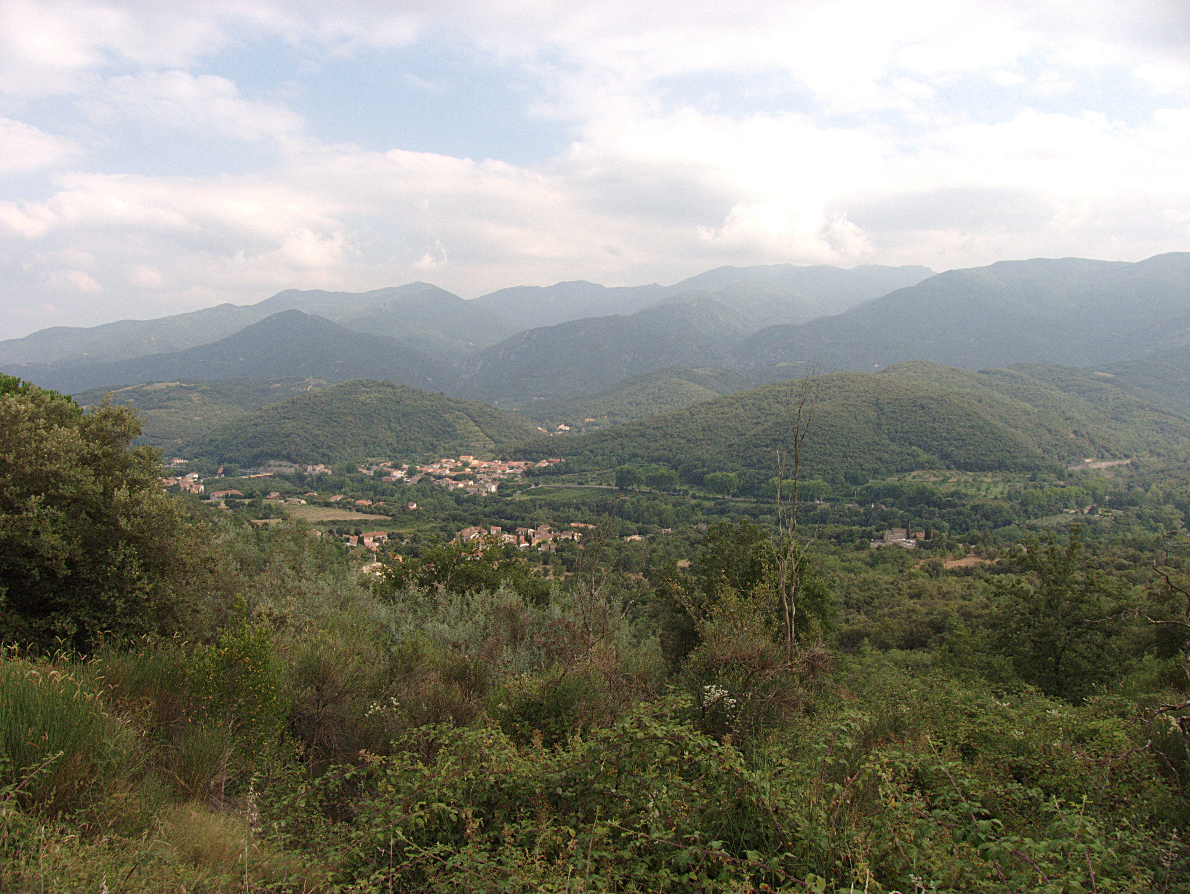 Pyrenees that his family had farmed since the 17th century. Reynès and its surrounding woodlands in the eastern Pyrenees. © Ber