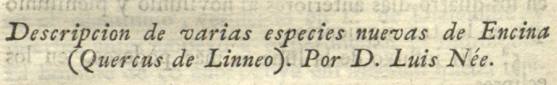 Title of Luis Née's article on new oaks in Anales