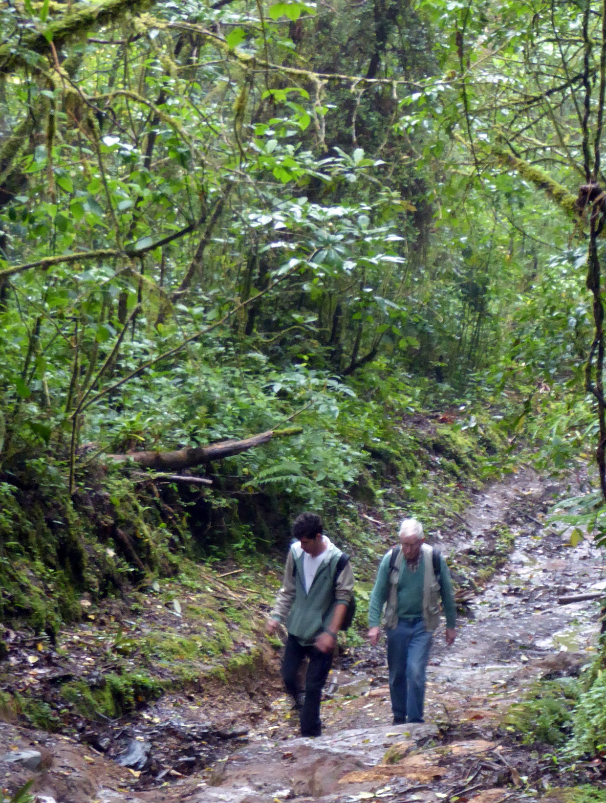 Climbing up Volcán Poas, aged 103