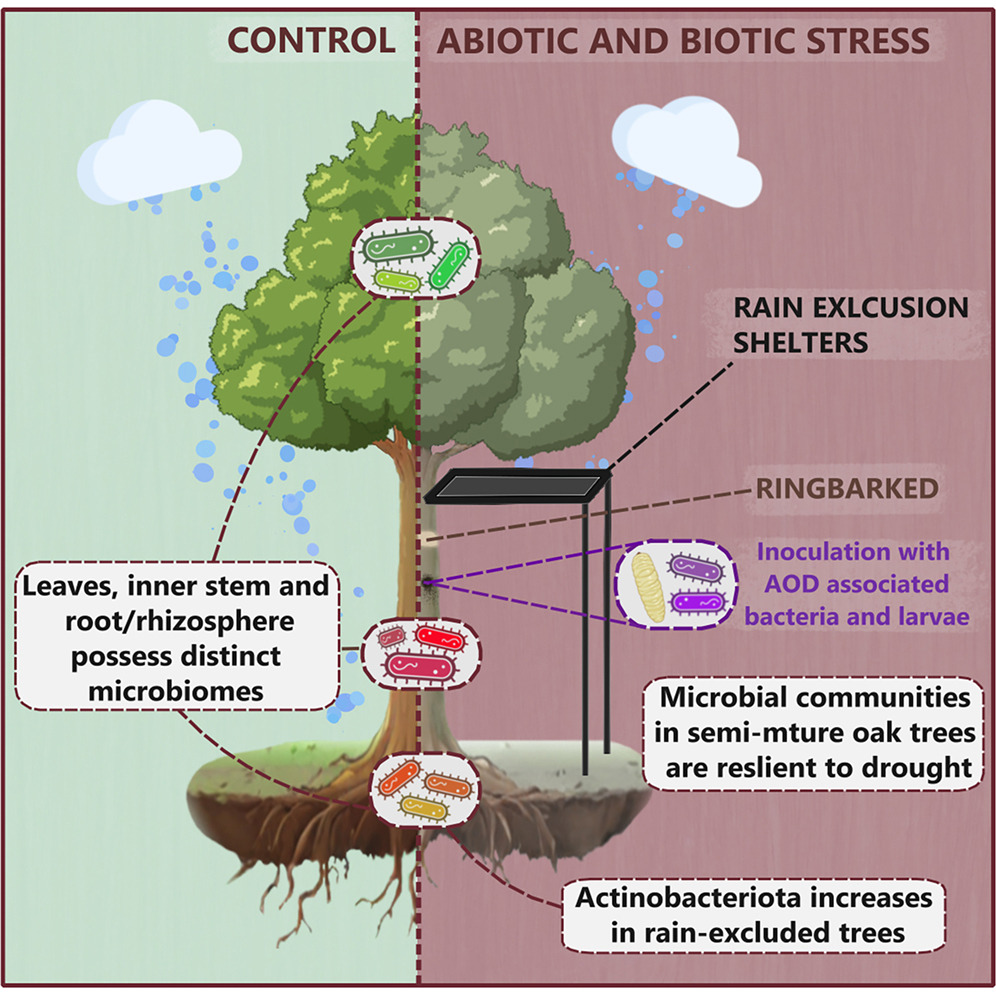 Graphical abstract from the paper