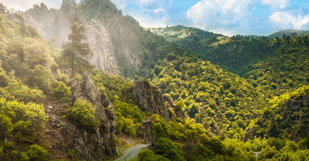 Nef Arsa Bursa Orhaneli | Nef