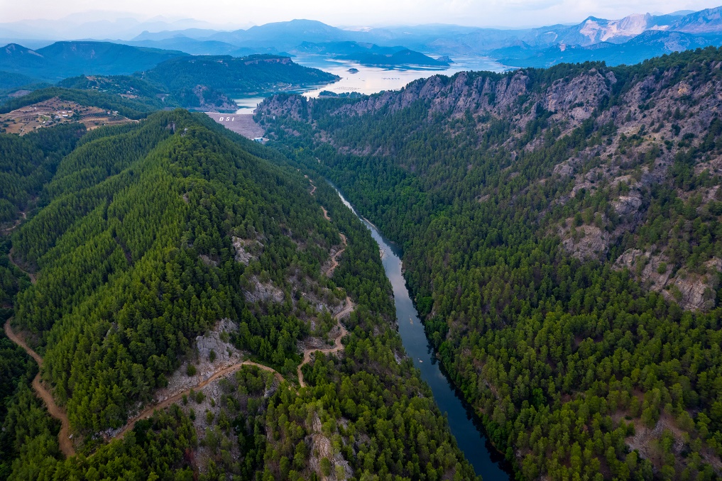 Sığla Ormanı Tabiatı Koruma Alanı – Burdur'u Keşfet