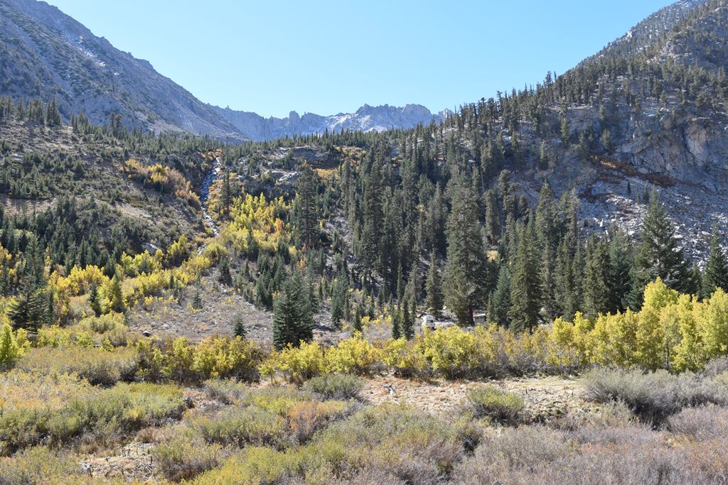 Onion valley