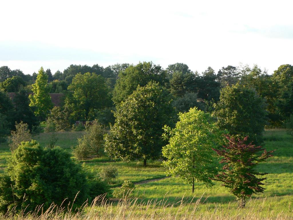 Pouyouleix