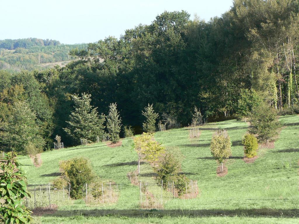 Pouyouleix
