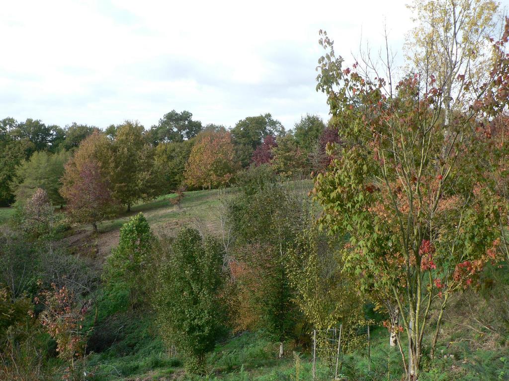 Pouyouleix