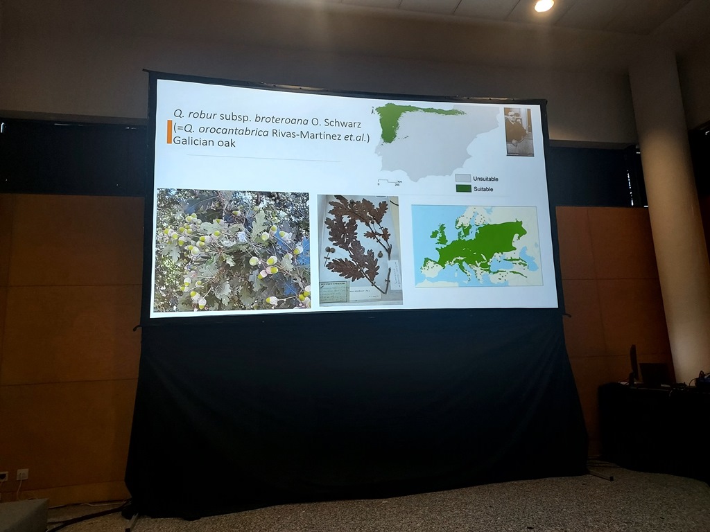 Slide from The Iberian Peninsula