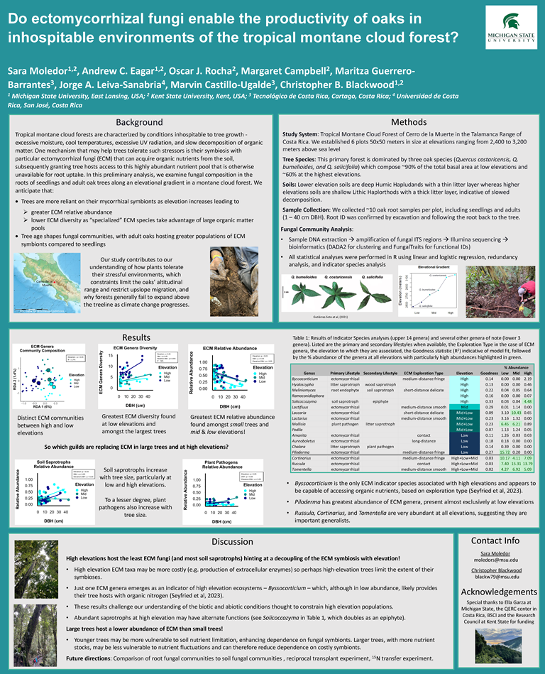Do ectomycorrhizal fungi