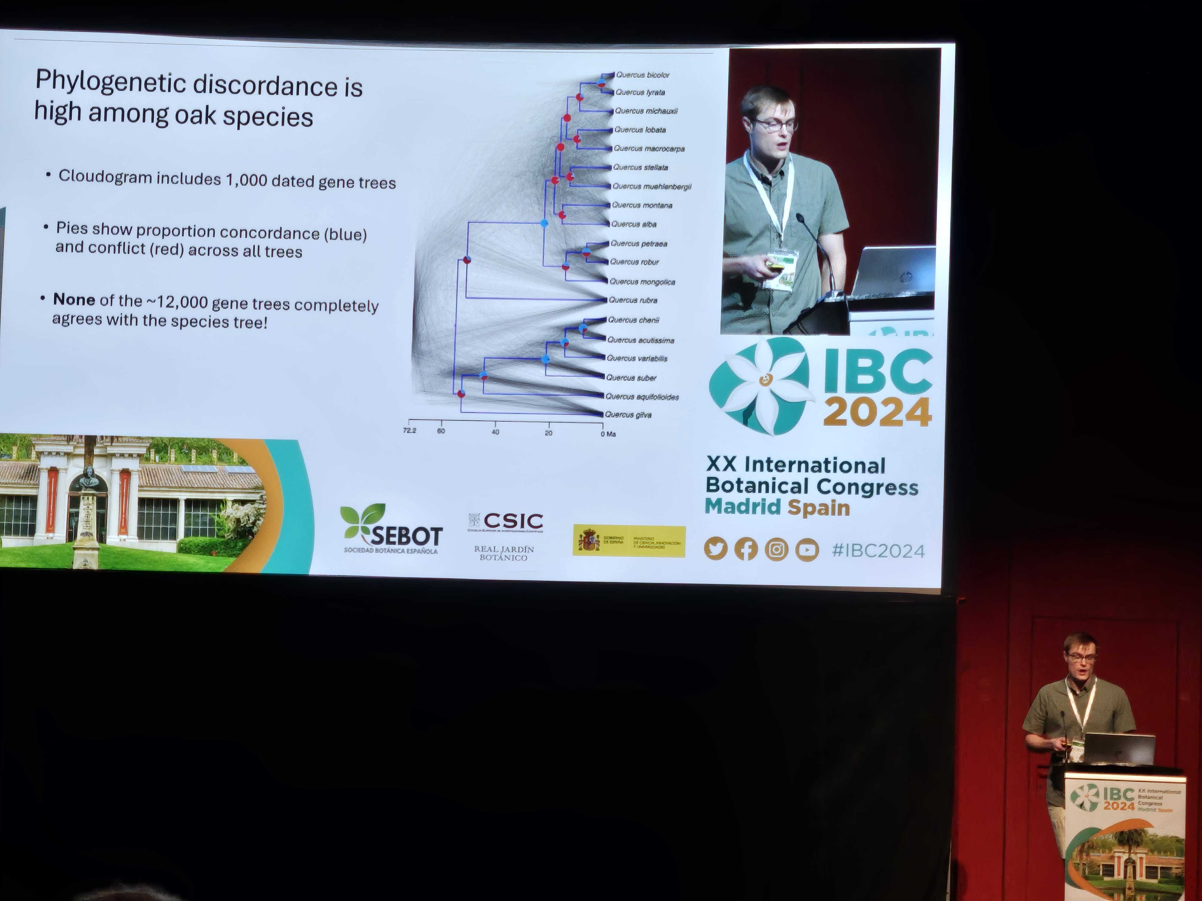 Drew Larson presenting at IBC 2024