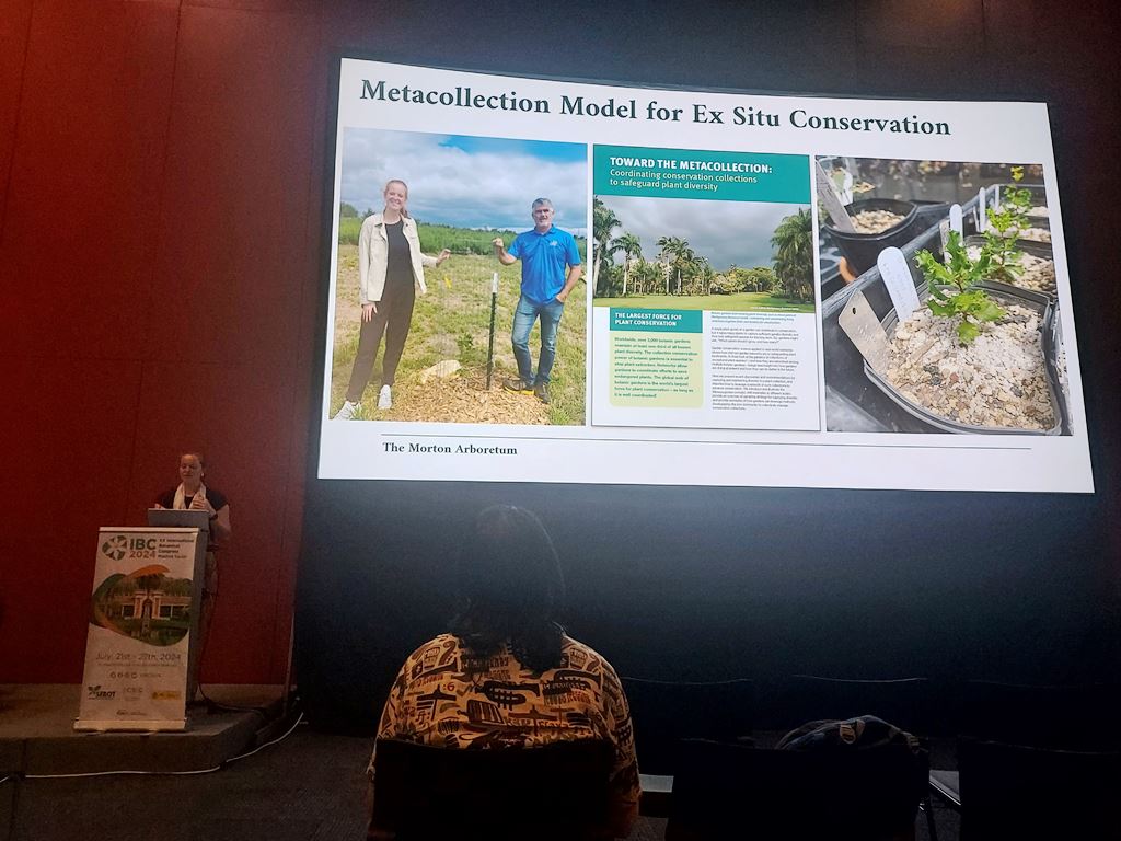 Amy Byrne presenting at IBC2024