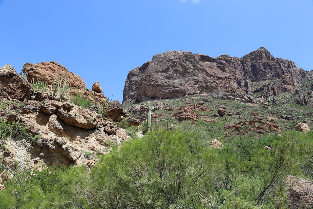 Estes Canyon