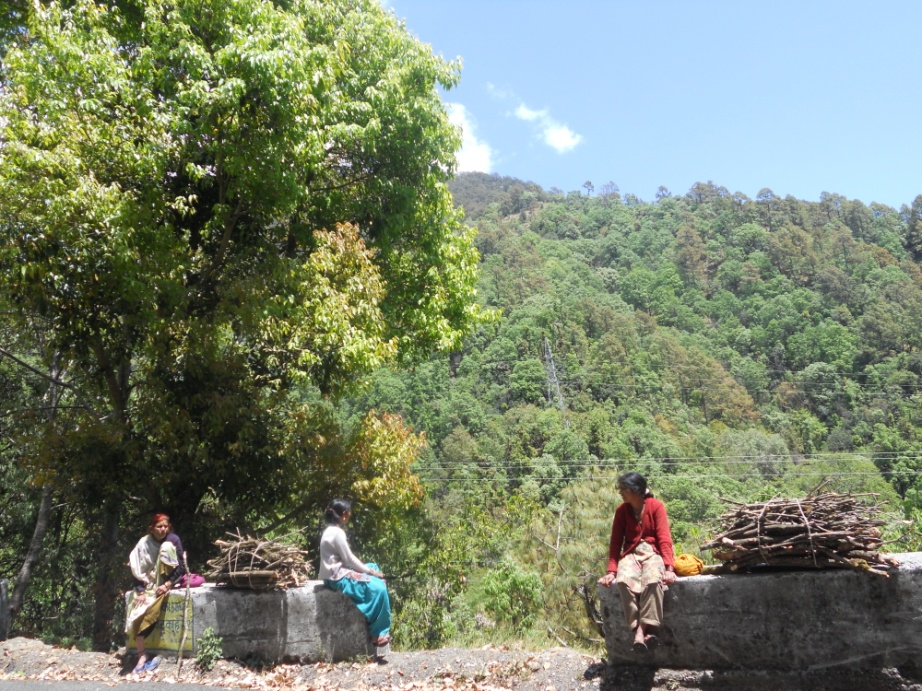 Fuel-wood collection from Q. leucotrichophora forests by local inhabitants