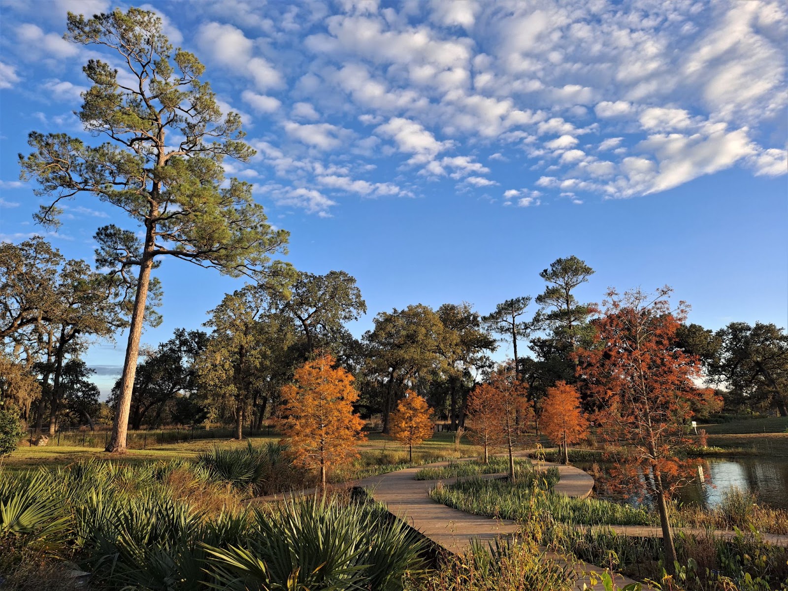 Houston Botanic Garden