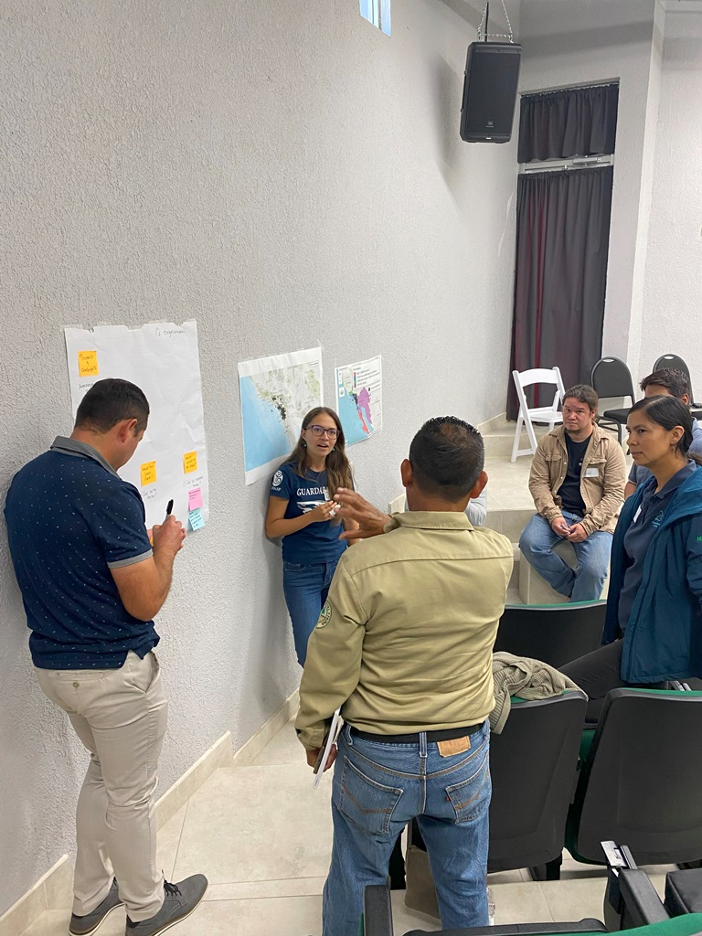 Participants in the workshop hosted by GCCO in Baja California to gather more information on the threats and conservation action for oaks native to Baja California