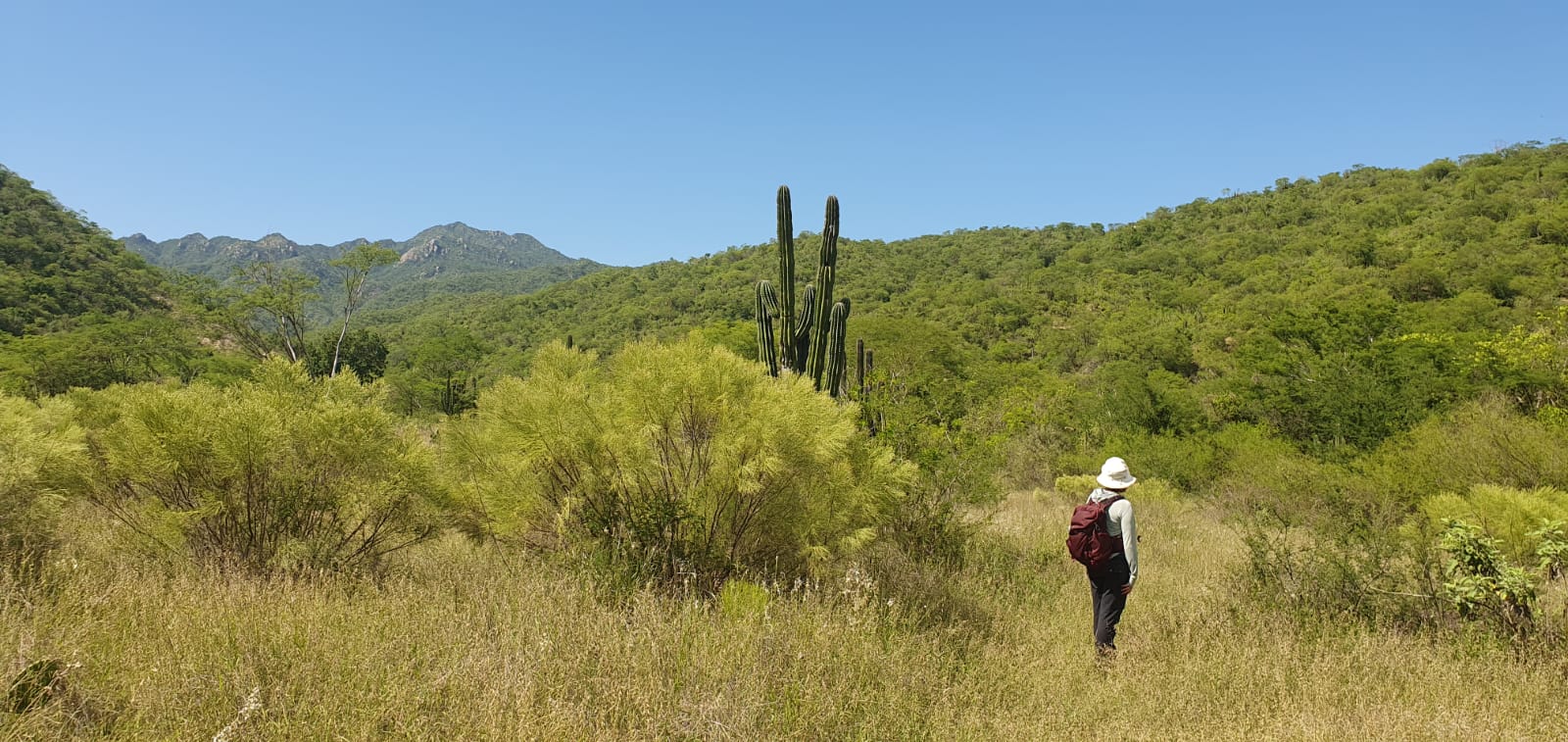 desiccated/degraded nature of the habitat where restoration is needed