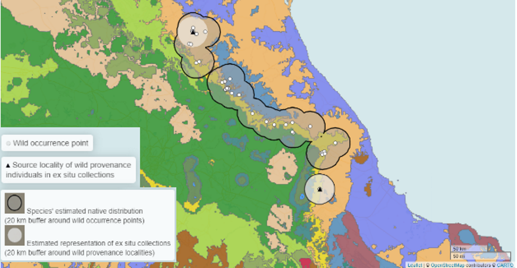 Quercus delgadoana wild occurrence points and ex situ collection source localities. Colored regions are Holdridge Life Zones