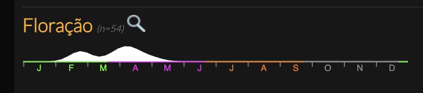 Q. rotundifolia flowering period