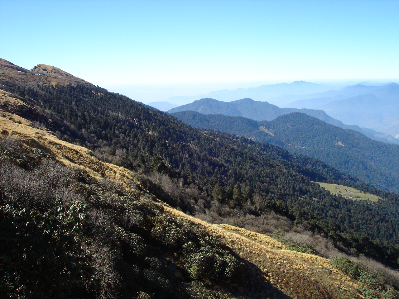 Tungnath a rare combination of trees, shrubs, medicinal herbs snowy mountains and abode of god