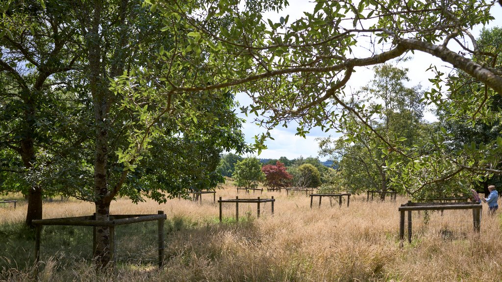 View of the Rifle Range at Chevithorne Barton