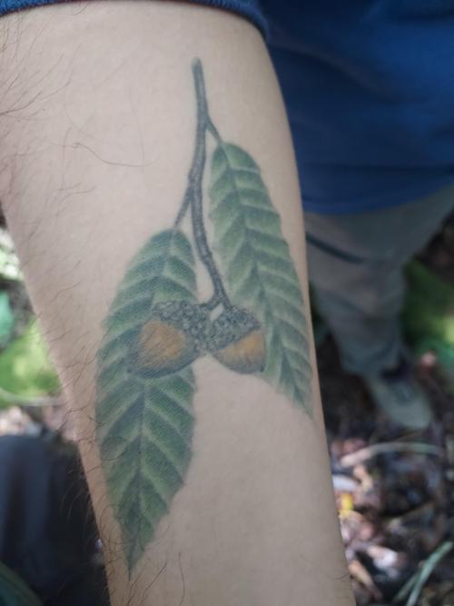 Tattoo on arm of Uriel Rodriguez our guide at Jardín Botánico Clavijero