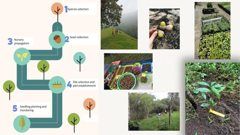 Slide from the presentation assisted migration in urban cloud forests