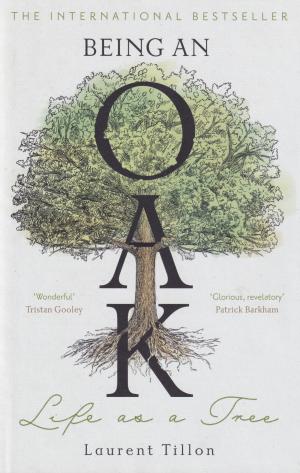 Being an Oak - cover