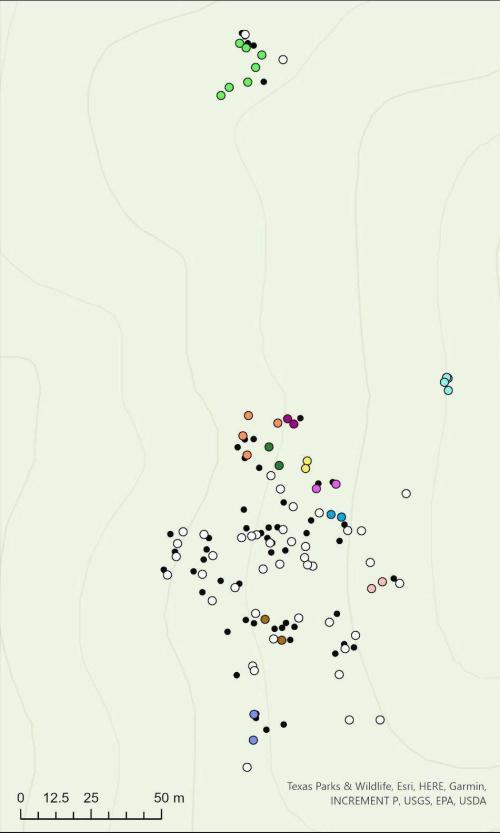 Figure 5. Map showing the distribution of clones within the Western Solitario site, with black points representing individuals t