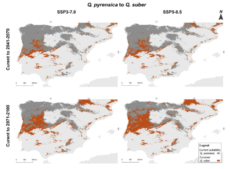 Figure 8 from Pasos et al.